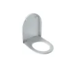 Asiento Y Tapa Inodoro Icon – Geberit