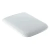 Asiento Y Tapa Inodoro Icon Square – Geberit