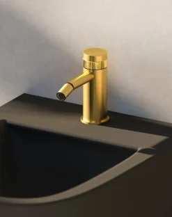 Grifo De Bidet Zoom Oro Cepillado – 4987029 – Galindo – LuxCover