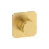 Grifo De Ducha Empotrable Zoom Oro Cepillado – 4987329 – Galindo – LuxCover