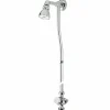 Grifo Temporizado Ducha Vista Un Agua Accionamiento Mediante Pulsador. PRESTO Conjunto XT 65 Con Rociador Orientable – LEG65060 – Presto Iberica