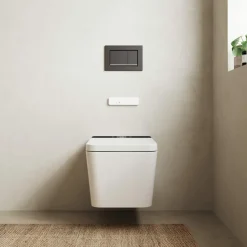 Inodoro Suspendido Con Función De Lavado Agua Fria Y Caliente Smart Toilet Con Display Negro – Isla – Mizubath – HNMISLA0010011
