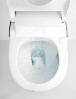 In-Wash®con In-Tank® – Smart Toilet Suspendido Rimless Con Tanque Integrado – Insignia – Roca – A803104001