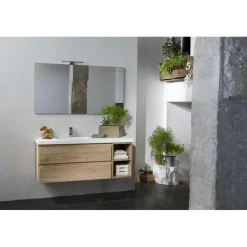 Mueble De Baño Suspendido Dos Cajones Con Modulo Dos Huecos Y Encimera 1 Seno SolidCoat Surface Grosor 5 Cm – Serie Life – Baños10